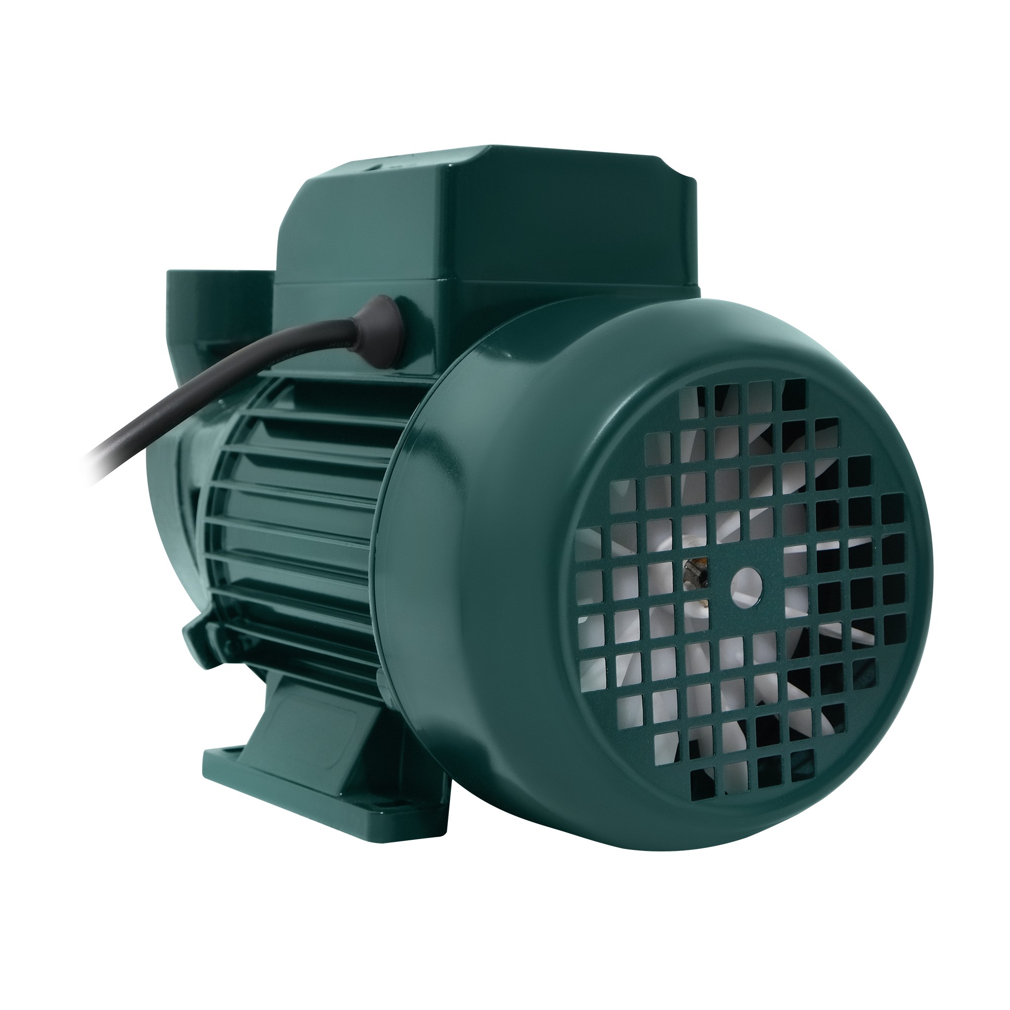 Насос поверхностный вихревой P-550V Oasis