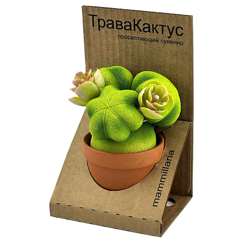 Трава Кактус Маммиллярия зеленый