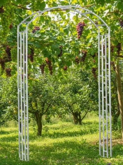 Виноградная арка 340х1500х2440